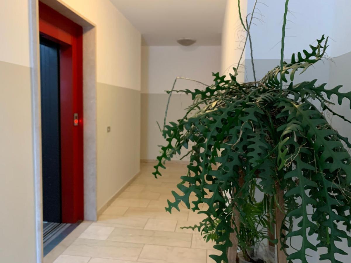 B&B Verona Business And Fun G B Rossi Friendly エクステリア 写真